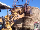 البيئة تحرر 238 محضر حرق مخلفات زراعية.. وتؤكد: اتخاذ الإجراءات القانونية تجاه المخالفين