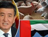 باختصار.. أهم الأخبار العالمية والعربية حتى الـ12.. برنامج الأغذية العالمى التابع للأمم المتحدة يفوز بجائزة نوبل للسلام.. البنك الدولى: معدل الفقر فى الإمارات "صفر".. ورئيس قيرغيزستان يقبل استقالة الحكومة