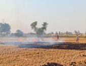 تحرير محضر لمزارع بالزقازيق لقيامه بحرق قش الأرز