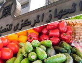 جهاز الإحصاء يعلن استقرار المستوى العام لأسعار سبتمبر الماضى.. تراجع أسعار الفاكهة 7.6%.. واللحوم والدواجن بنسبة 1.5%.. والأسماك والمأكولات البحرية بـ0.4%.. ومجموعة الألبان والجبن والبيض بـ0.1%