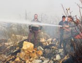 فرق الإطفاء فى سوريا تواصل إخماد حرائق الغابات والأراضى الزراعية.. صور