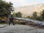 سوريا تعلن إخماد كل الحرائق البالغ عددها 156 حريقاً