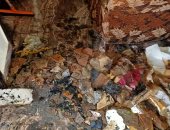 السيطرة على حريق نشب بشقة رئيس الإدارة المركزية لشئون مكتب محافظ الغربية