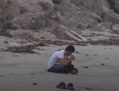 خطيب ديمى لوفاتو يبكى على شاطئ إعلان خطبتهما قبل شهرين