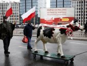 مزارعون بولندا يعطلون حركة المرور احتجاجا على قانون حماية الحيوان.. صور