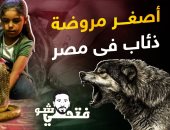 أصغر مروضة ذئاب فى مصر قلب الأسد.. قدرات خارقة 