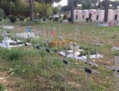 مقبرة الأجنّة المجهضة تثير الجدل فى إيطاليا