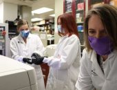 تجارب أمريكية لتطوير اختبار أسرع وأرخص للأجسام المضادة لكورونا