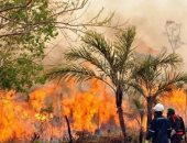 82 حريق نشط فى بوليفيا ونشر 1718 جنديا فى محاولة للسيطرة