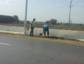 حملات نظافة ورصف بشوارع مدينة المحلة "صور"