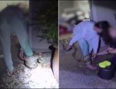 شرطية أسترالية تنقذ امرأة من ثعبان ضخم ألتف حول قدمها.. فيديو
