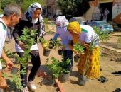 صور.. زراعة 572 شجرة زينة ومثمرة بمبادرة "مصر الجميلة" بالغربية