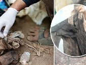 حملة تنظيف مقابر بسوهاج: وجدنا 2500 عمل سحر فى مقابر القرى