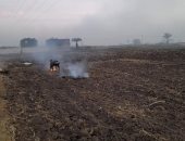 45 محضرا وغرامة فورية لحرق المخلفات الزراعية فى أسيوط .. صور