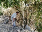 زراعة الشرقية تُطلق الحملة القومية لمكافحة القوارض.. صور 