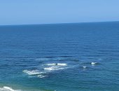 أجواء مستقرة وتوقعات بسقوط أمطار غدا في الإسكندرية