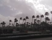 تقلبات جوية ورياح محملة بالأتربة على مدن محافظة دمياط.. صور وفيديو