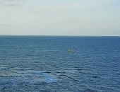 هدوء وأجواء مشمسة بالإسكندرية ورفع حالة الطوارئ تحسبا لتقلبات الجو.. صور 