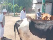 الزراعة تعلن تحصين 4.3 مليون رأس ماشية ضد مرض الحمى القلاعية وحمى الوادى المتصدع