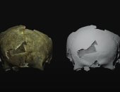 اكتشاف جمجمة لشاب تعود للعصر الحجرى بالقرم تعرضت لجراحة فاشلة
