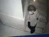 شاهد.. وقائع سرقة شقة بمنطقة فيصل والكاميرات ترصد الجانى (فيديو)