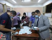 بيان إحصائى للجنة بالإسكندرية يكشف حصول القائمة الوطنية على 398 صوتا ونداء مصر 126