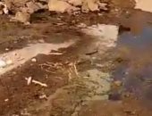 وحدة الروضة المحلية في المنيا تستجيب لشكوى من غرق مدرسة بمياه الصرف الصحى