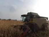 آلة زراعية تحصد الذرة والحبوب تسير من دون سائق فى حقول روسيا.. فيديو