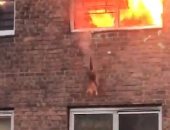 قط ينفذ قفزة هائلة للهرب من مبنى محترق فى نيويورك بمساعدة الشرطة.. فيديو