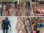 كارثة فى سجون أمريكا اللاتينية بسبب كورونا.. عزل 200 سجين فى كولومبيا.. نمو الإصابات فى سجون الأرجنتين 31%.. وسجن كامل فى الحجر الصحى بهافانا.. و23 مهاجرا مصاب فى سجن مكسيكى.. وخبراء يطالبون بزيادة الاختبارات