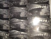 محافظ القليوبية يستجيب لاستغاثة قارئ يعانى من الشلل بالجزء السفلي