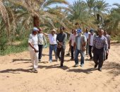 منظمة الفاو تنفذ مشروعات علاج التصحر والجفاف في الوادى الجديد .. صور