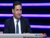 يوسف أيوب: مصر تعمل على استعادة الدول العربية عافيتها