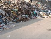 شكوى من انتشار القمامة فى الشارع الجديد ببهتيم.. المحافظ يستجيب