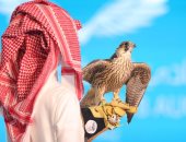 صور.. 430 ألف ريال ثمن 3 شواهين فى مزاد نادي الصقور السعودي