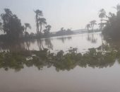مياه السيول تقطع طريق قرية الفقيرة فى بنى سويف.. صور