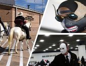 تقاليع الانتخابات الأمريكية.. كمامات أشكال وألوان وحصان فى مقر الاقتراع