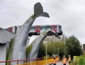 نجاة المئات من كارثة .. ذيل الحوت ينقذ قطار هولندا ..ألبوم صور
