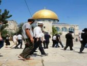 مرصد الأزهر يكشف اقتحام أكثر من 1500 صهيونى ساحات "الأقصى" فى أكتوبر