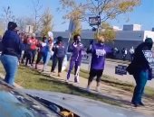 رقص أنصار المرشح الأمريكى بايدن أمام لجان الانتخابات قبل التصويت.. فيديو