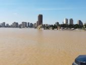 فيديو.. "النيل بقى لونه بنى" عكارة النهر تصل القاهرة بسبب السيول والأمطار