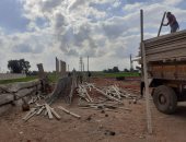 رئيس مدينة المحلة يتفقد لجان انتخابات البرلمان ويتابع إزالة تعدى على الرقعة الزراعية