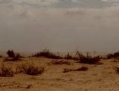 سقوط أمطار خفيفية على سواحل شمال سيناء 