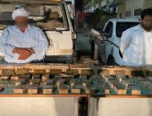 الداخلية تضبط 875 طربة حشيش بقيمة 6 ملايين جنيه