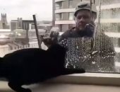 عامل تنظيف ناطحات سحاب يلاعب قطة بطريقة طريفة .. فيديو