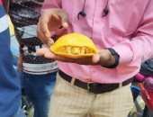 العثور على سلحفاة صفراء نادرة فى الهند للمرة الثانية خلال عام