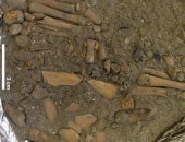 العثور على عظام قرود فى قلعة بريطانية تعود لـ العصور الوسطى