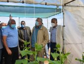 وزيرا الزراعة والرى يتفقدان مشروع الصوب الزراعية بقرية أسمنت بمركز الداخلة
