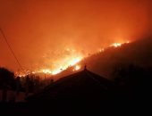 صور.. النيران تلتهم الأشجار فى غابات بالجزائر وفرار المئات من منازلهم