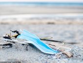 تطوير أسماك روبوتية صغيرة تلتقط جزيئات البلاستيك لتنظيف المحيطات